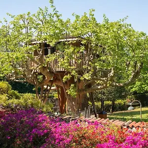 Dream Tree House , Côme Italia